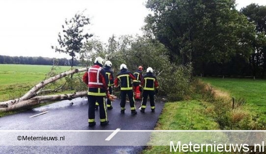 BOOM DOOR STORM OVER DE WEG IN HOOGEVEEN
