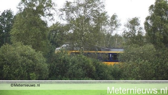 boomoptreininhoogeveen