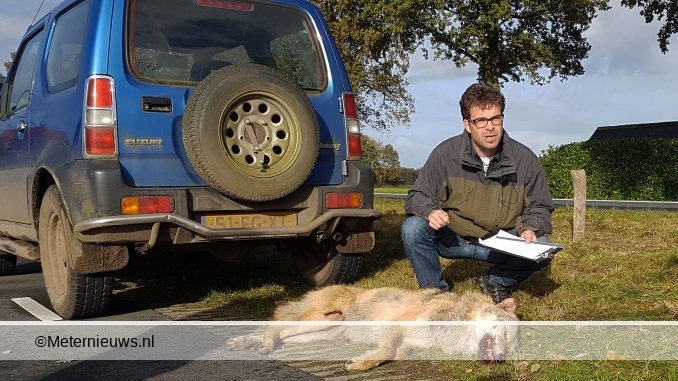 WOLF DOODGEREDEN N343 KLOOSTERHAAR4