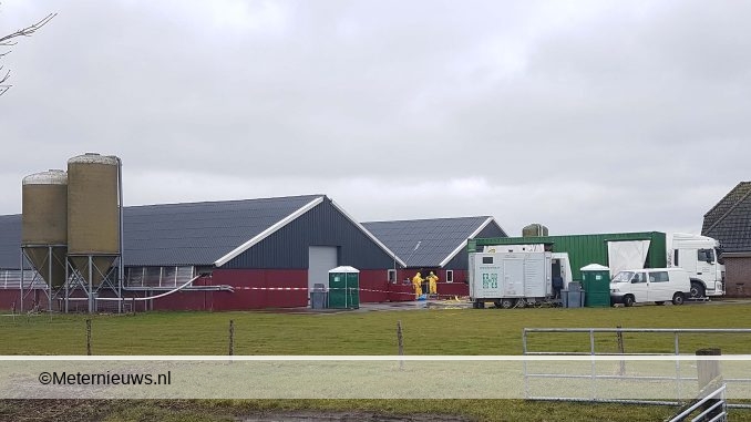 DERDE KEER VOGELGRIEP OP EENDENBEDRIJF KAMPERVEEN