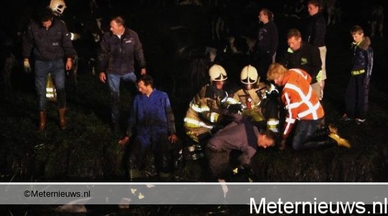 GROTE BRAND KALVEREN STAL STAPHORST