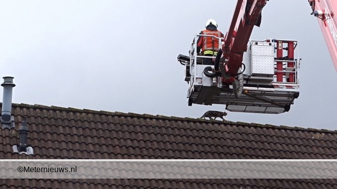 brandweer haalt [oes van dak assen4