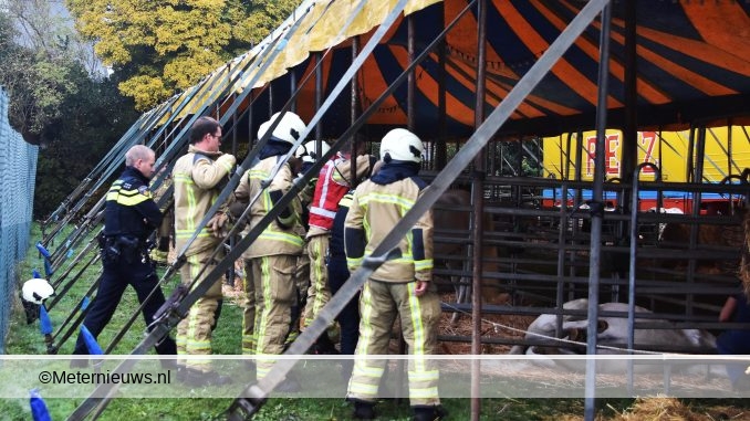PAARD KLEM BIJ CIRCUS IN MEPPEL