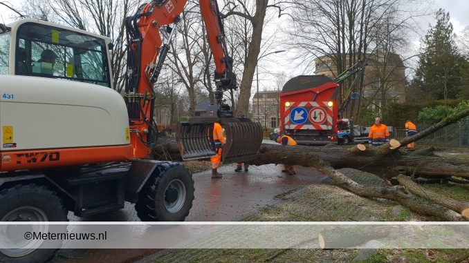 BOOM WAAIT DOOR DE STORM OM IN ASSEN