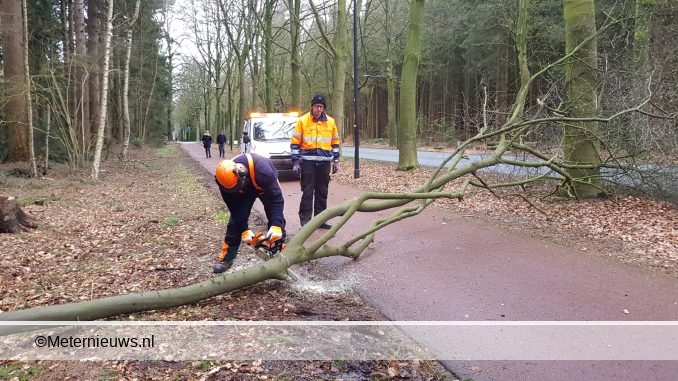 BOMEN OVER DE WEG IN ASSEN DOOR DE STORM3