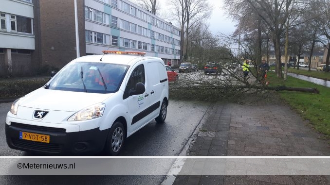 boomoverdelomanlaanHoogeveen2
