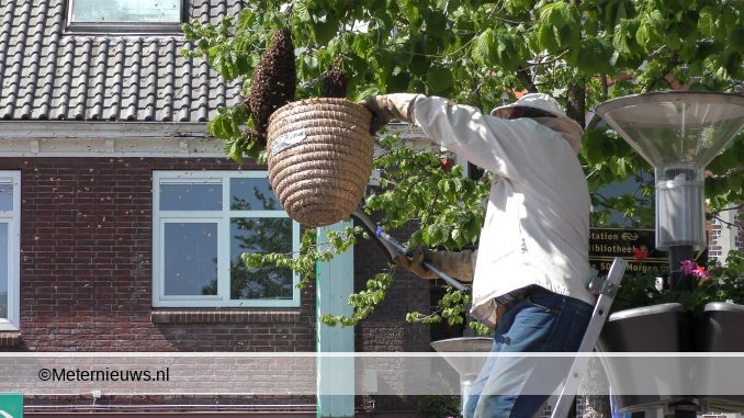 BIJEN ZWERM VERDRIJFT BEZOEKERS VAN TERRAS IN HOOGEVEEN05