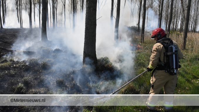 TIEN HECTARE RUIGTE IN BOSGEBEID AFGEBRAND IN GRONINGEN2