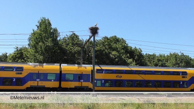 trein