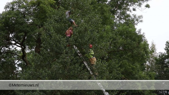 brandweerhaaltmeisejsuitboominzuidbroek