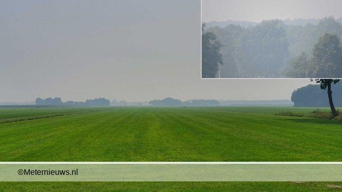 smog4