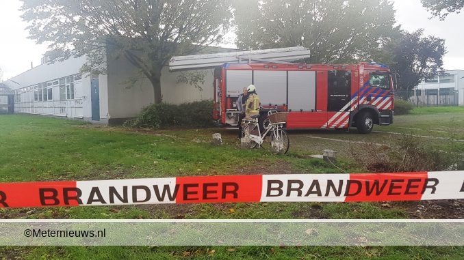 brand1