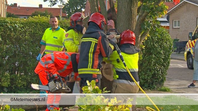 brandweerredkindinboom4