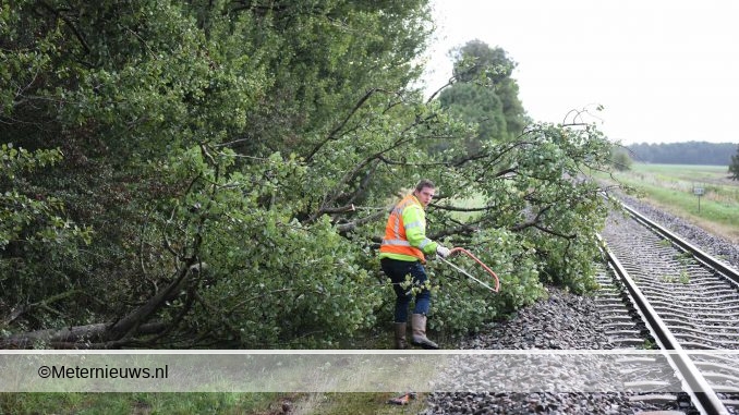 webboom op spoor in ZuidbroekWinschoten