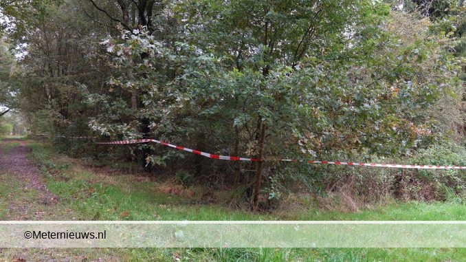 gezinruinenSchiphorst