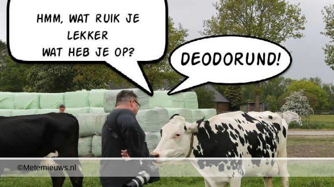 bakker