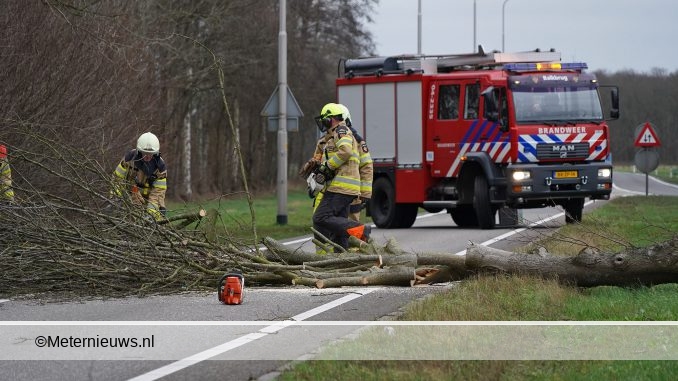 n377boomoverdeweg