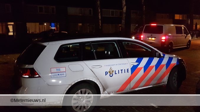 steekpartijemmen