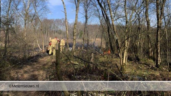 buitenbrandyde