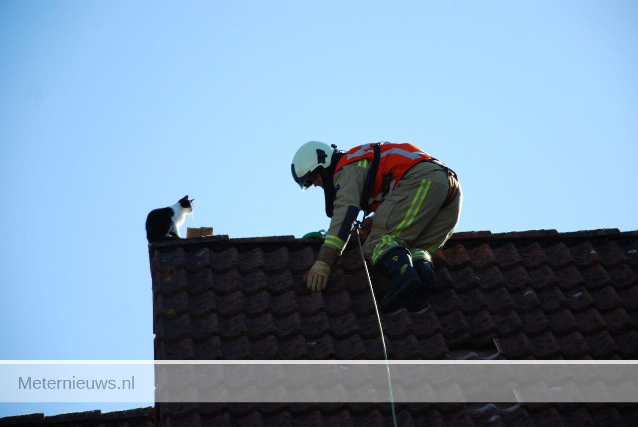 Brandweer haalt poes van dak in Eelde