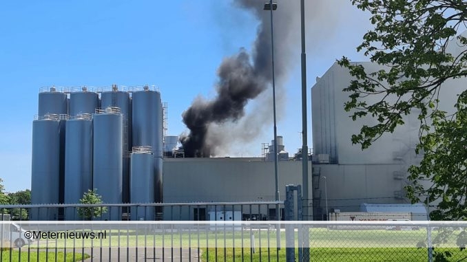 grotebrandHoogeveen2