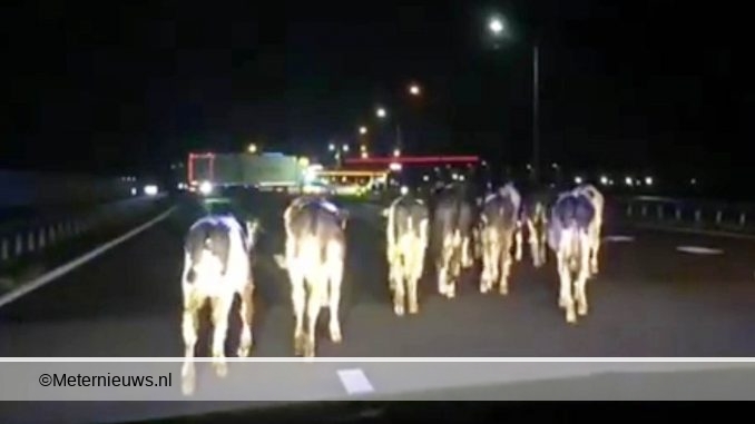 Screenshotpolitie