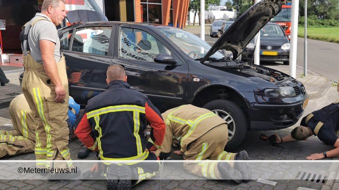 kittenvastinautoHoogeveen