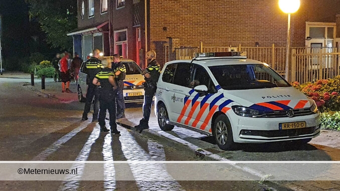 hondenbijtenpuppydood