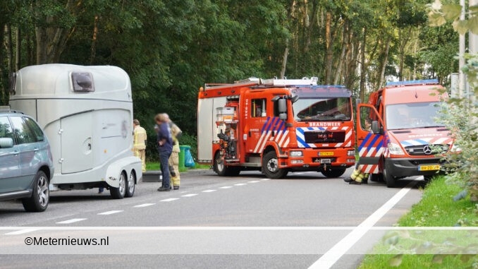 paard bekneld in paardetrailer Beilenweb