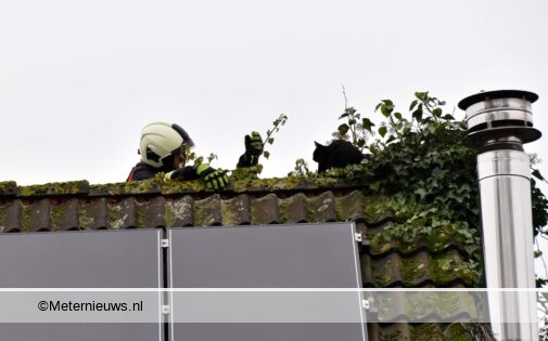 Brandweer Zuidlaren haalt poes vandak in Noordlaren(Video) #NOORDLAREN - Op een woning aa.