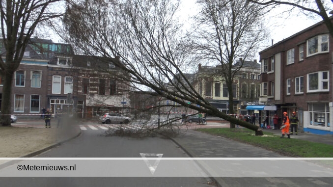 boom omgezaagdGroningenstorm