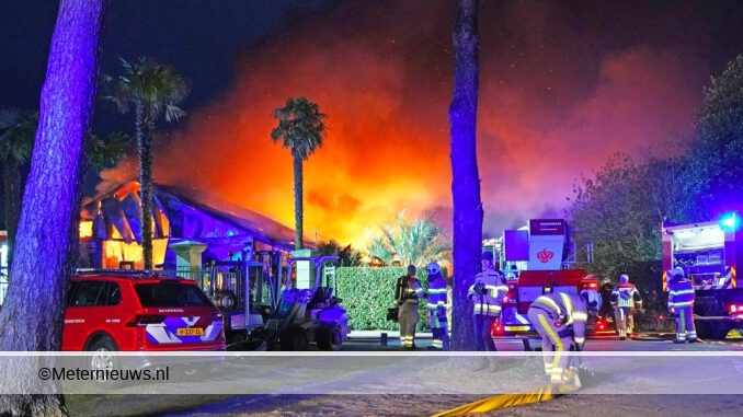 grotebrandbijpalmkwekerij