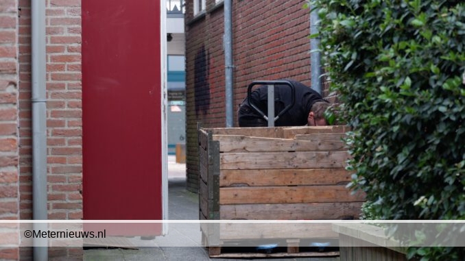 hennep kwekerij in pand coevorden3