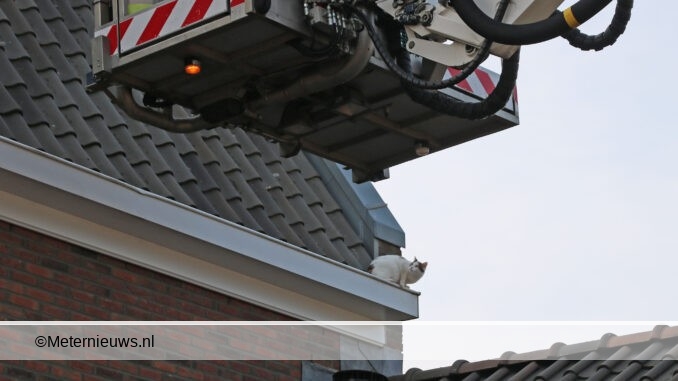 mispoesbrandweerGroningen