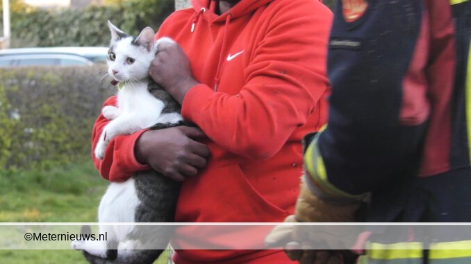 brandweer vangt poes in Assen