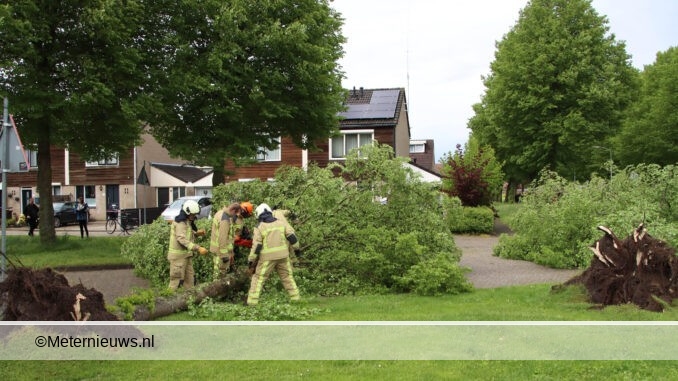 bomen omgeblazen in Klazienaveen