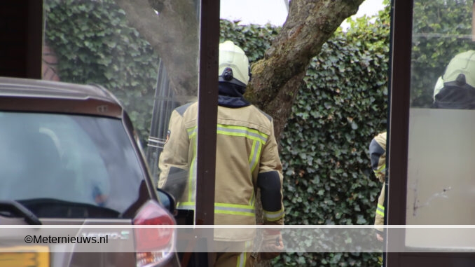 coniferen Haag in brand in bargercompascuum