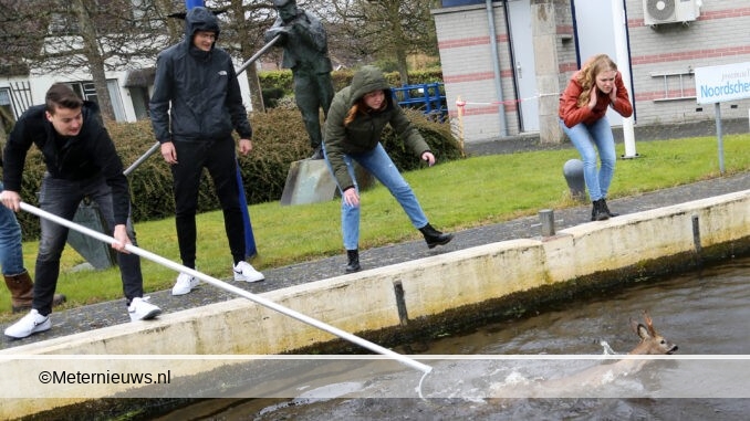ree uit vaart Noordscheschut gehaald5web
