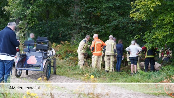 menwagen met paard ongeval in Gieten