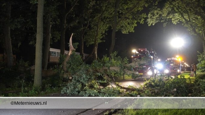 omgevallenboomzorgtvooroverlast in Beilen
