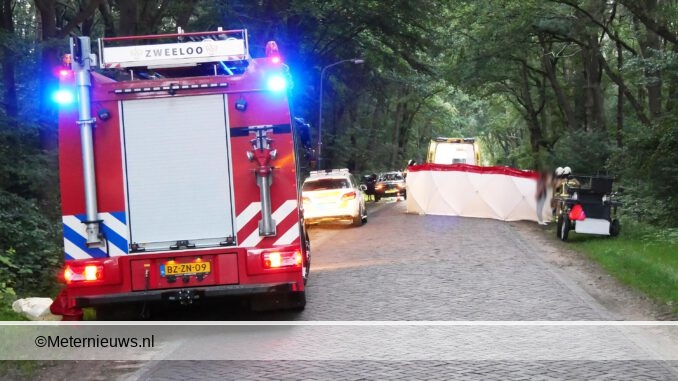 ongevalaalden