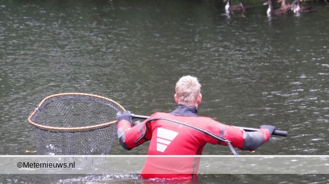 Eend met gebroken vleugel l uitvijver Groningen gehaald2