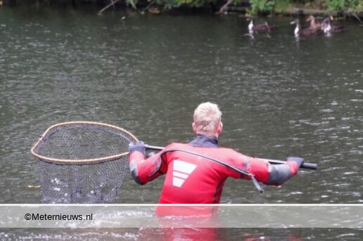 Brandweer haalt eend met gebroken vleugel uit vijver Groningen(Video) #GRONINGEN - Een eend is donder.