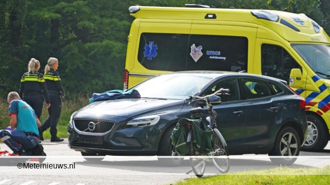 fietserautoinVries