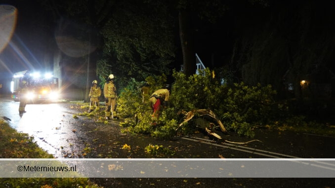 boom over deweg Werkhorst Meppel