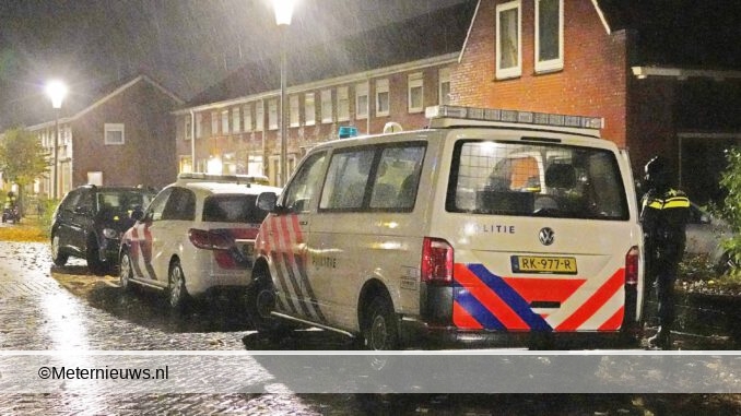 steekpartijwildervank