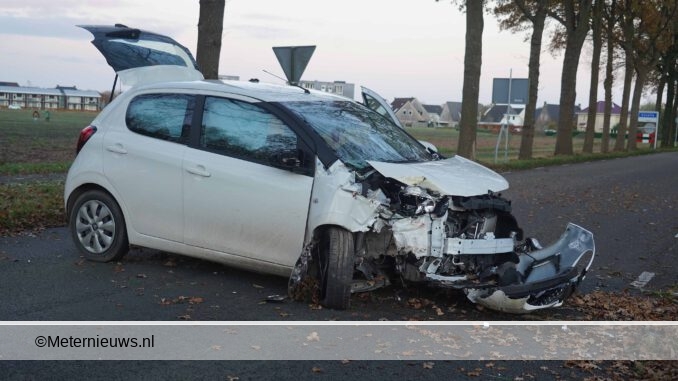 auto frontaal op bioom in havelte