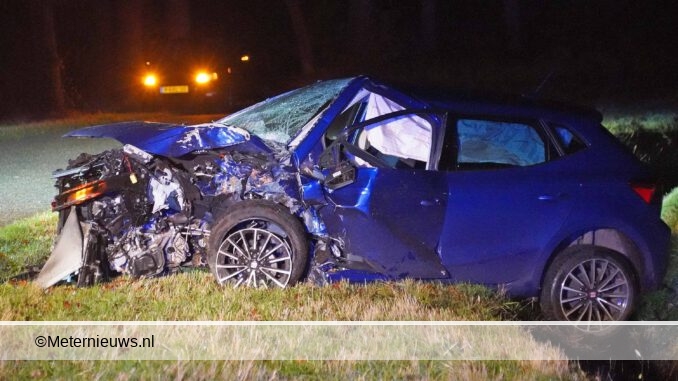 autotegenboom zuidlaarderveen