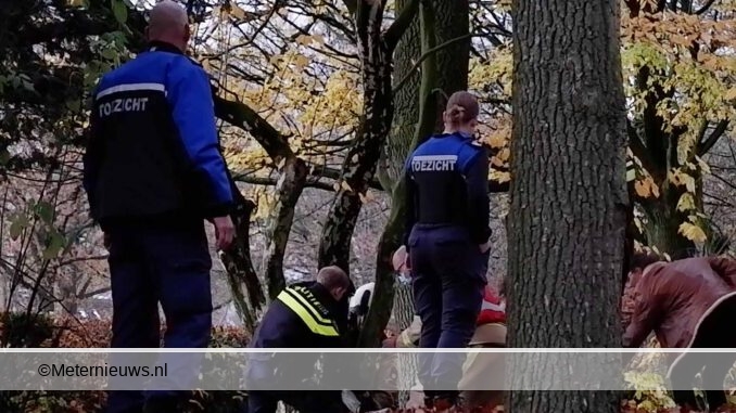 meisje vast in boom Coevorden