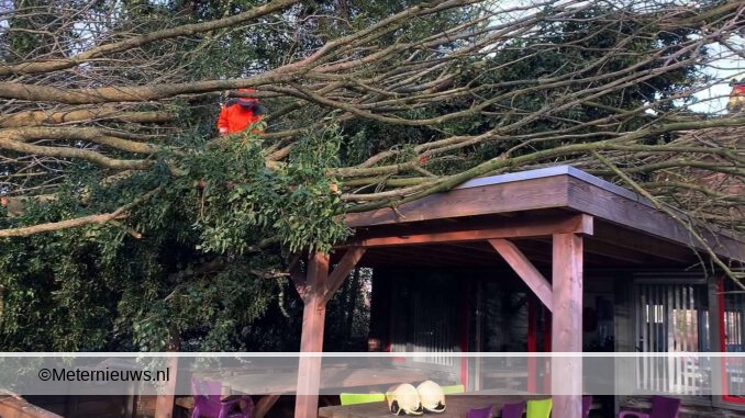 boom op brandweer kazerne in hardenberg